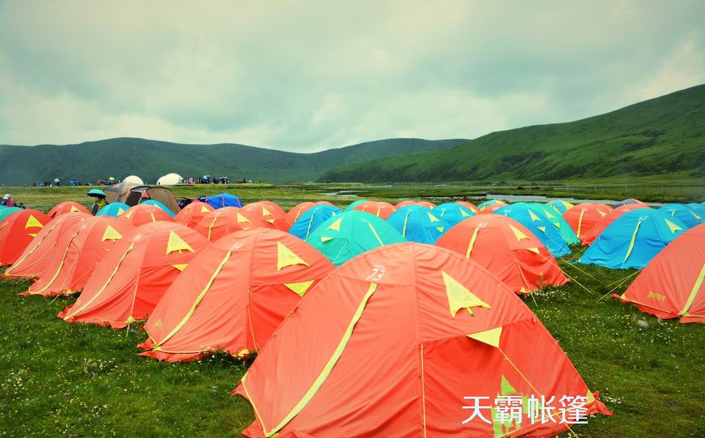 天霸列舉些露營的營地紀律，你知道嗎？