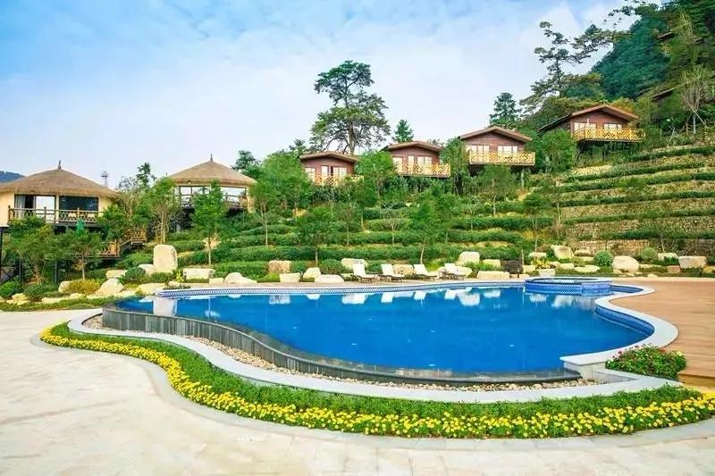 童年的樹屋夢,你也來體驗下！