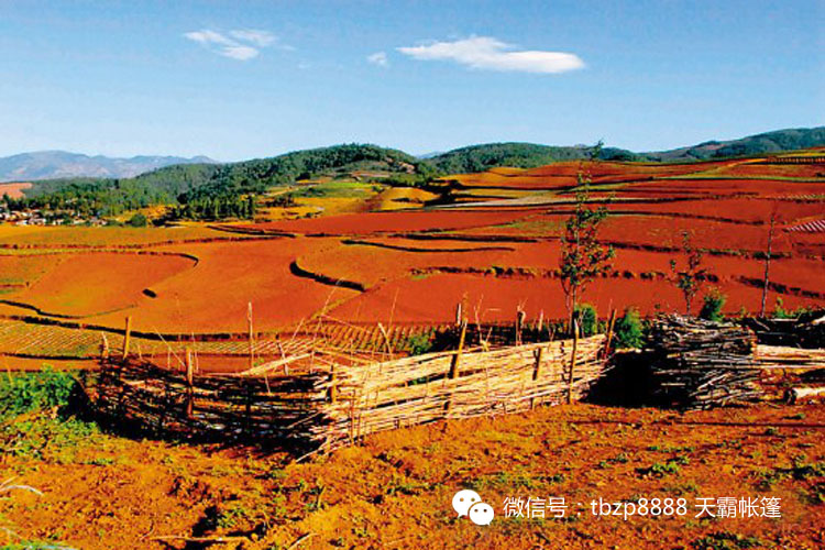 六月美麗的土地，對(duì)的時(shí)間去對(duì)的地方