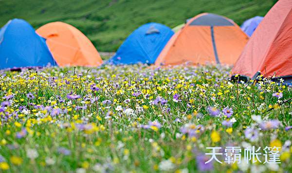 適合每個階段孩子年齡的戶外運(yùn)動形式